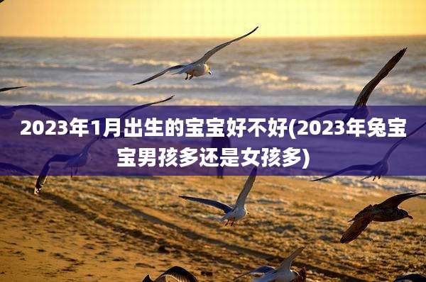 2023年1月出生的宝宝好不好(2023年兔宝宝男孩多还是女孩多)