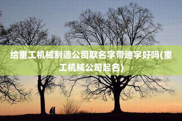 给重工机械制造公司取名字带迪字好吗(重工机械公司起名)
