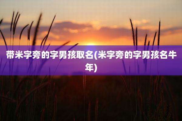 带米字旁的字男孩取名(米字旁的字男孩名牛年)