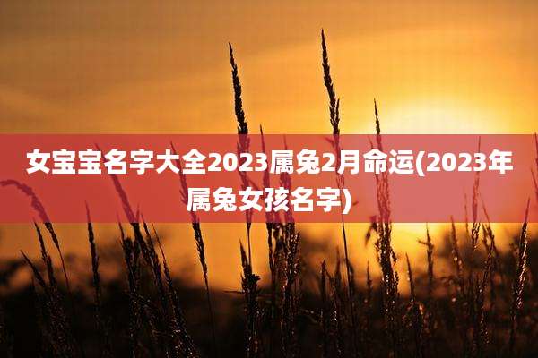 女宝宝名字大全2023属兔2月命运(2023年属兔女孩名字)