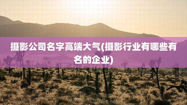 摄影公司名字高端大气(摄影行业有哪些有名的企业)