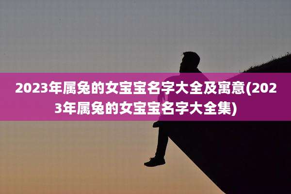 2023年属兔的女宝宝名字大全及寓意(2023年属兔的女宝宝名字大全集)