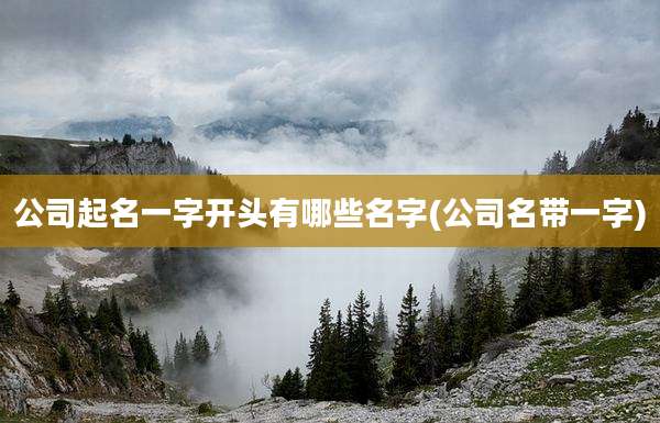 公司起名一字开头有哪些名字(公司名带一字)