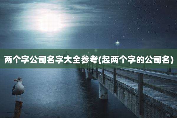 两个字公司名字大全参考(起两个字的公司名)