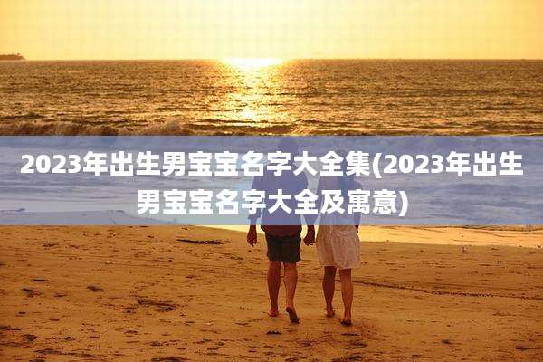 2023年出生男宝宝名字大全集(2023年出生男宝宝名字大全及寓意)