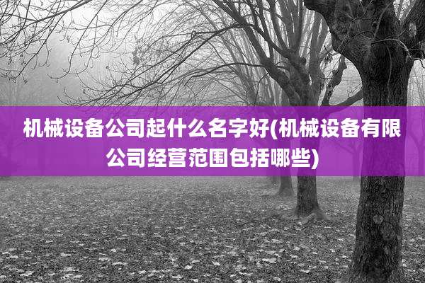机械设备公司起什么名字好(机械设备有限公司经营范围包括哪些)