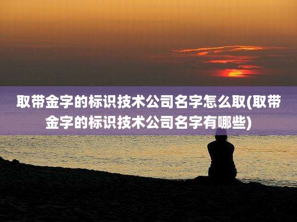 取带金字的标识技术公司名字怎么取(取带金字的标识技术公司名字有哪些)