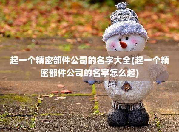 起一个精密部件公司的名字大全(起一个精密部件公司的名字怎么起)