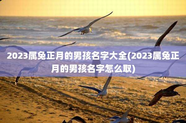 2023属兔正月的男孩名字大全(2023属兔正月的男孩名字怎么取)