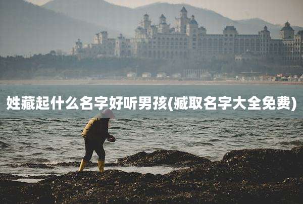 姓藏起什么名字好听男孩(臧取名字大全免费)