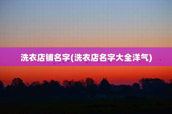 洗衣店铺名字(洗衣店名字大全洋气)