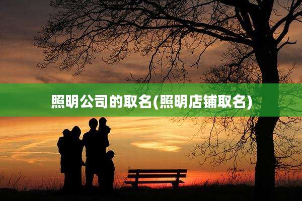 照明公司的取名(照明店铺取名)