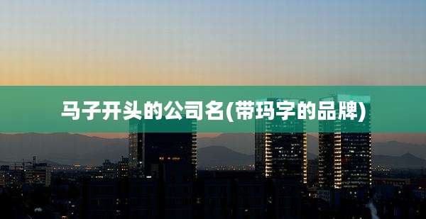 马子开头的公司名(带玛字的品牌)