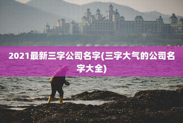 2021最新三字公司名字(三字大气的公司名字大全)