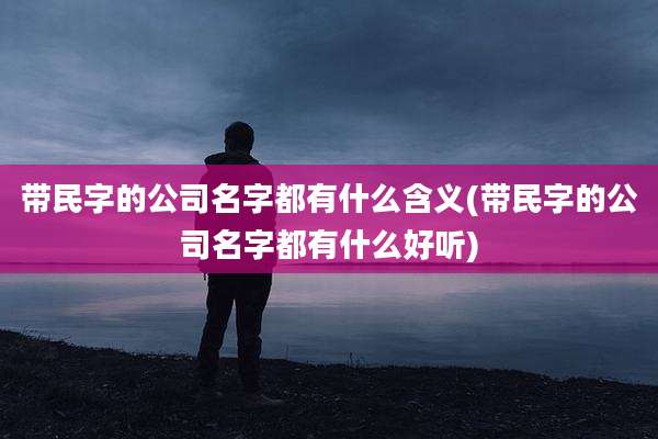 带民字的公司名字都有什么含义(带民字的公司名字都有什么好听)