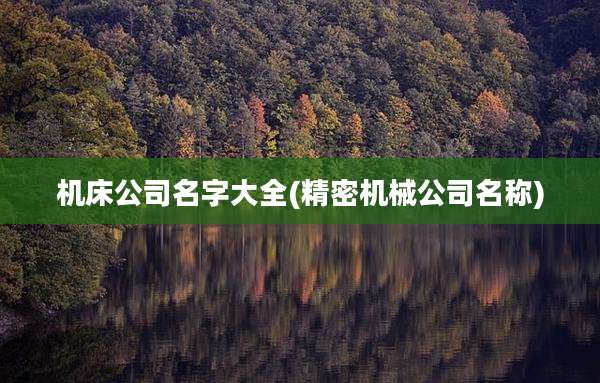 机床公司名字大全(精密机械公司名称)
