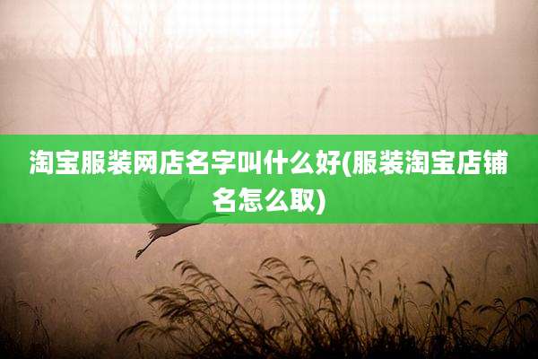 淘宝服装网店名字叫什么好(服装淘宝店铺名怎么取)