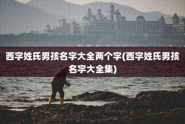 西字姓氏男孩名字大全两个字(西字姓氏男孩名字大全集)