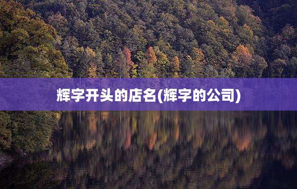 辉字开头的店名(辉字的公司)