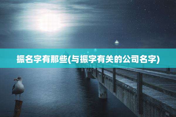 振名字有那些(与振字有关的公司名字)