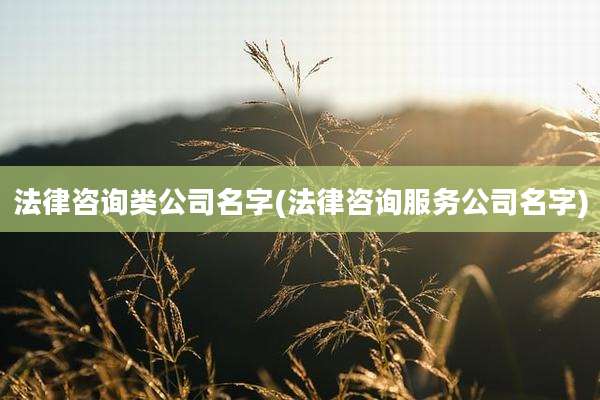 法律咨询类公司名字(法律咨询服务公司名字)