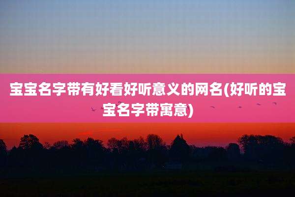 宝宝名字带有好看好听意义的网名(好听的宝宝名字带寓意)