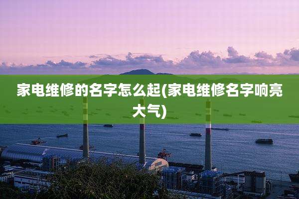 家电维修的名字怎么起(家电维修名字响亮大气)