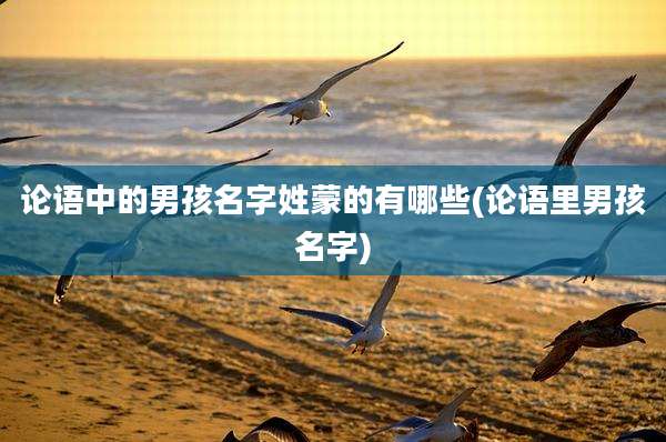 论语中的男孩名字姓蒙的有哪些(论语里男孩名字)