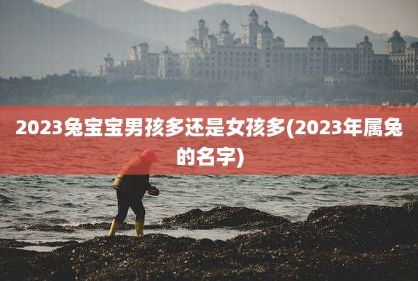 2023兔宝宝男孩多还是女孩多(2023年属兔的名字)