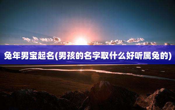 兔年男宝起名(男孩的名字取什么好听属兔的)
