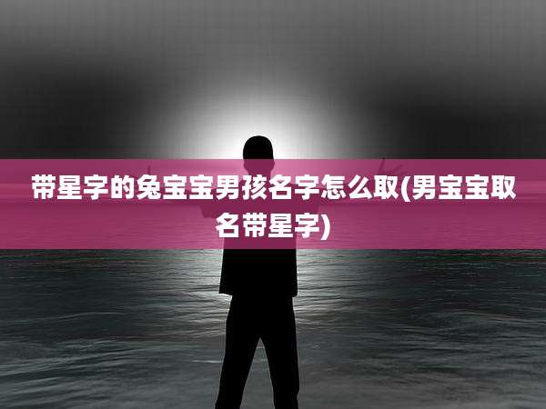 带星字的兔宝宝男孩名字怎么取(男宝宝取名带星字)