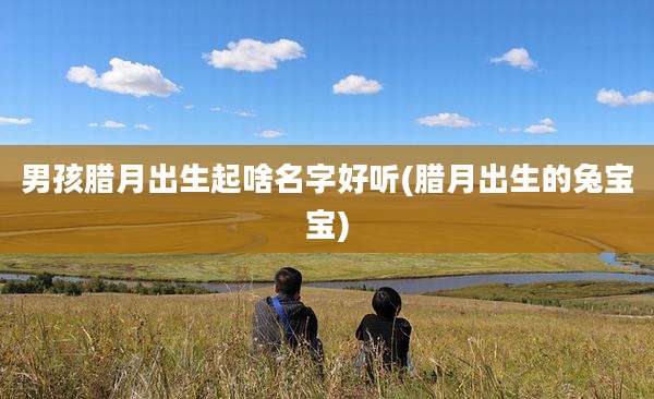 男孩腊月出生起啥名字好听(腊月出生的兔宝宝)