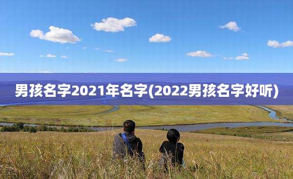 男孩名字2021年名字(2022男孩名字好听)
