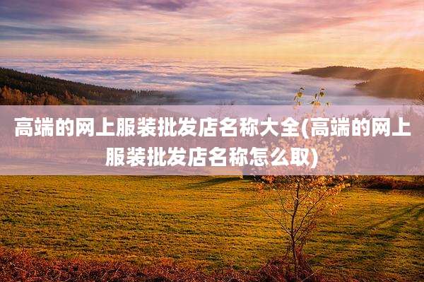 高端的网上服装批发店名称大全(高端的网上服装批发店名称怎么取)
