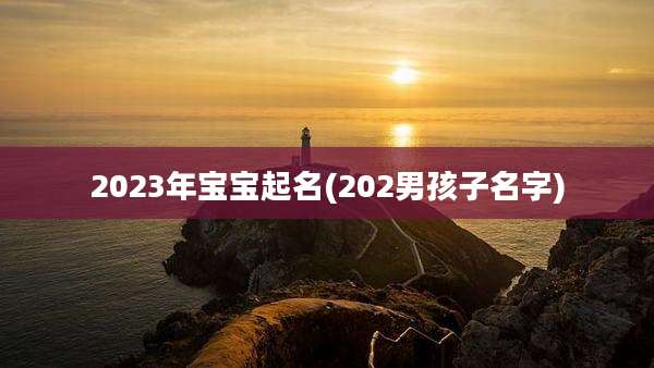 2023年宝宝起名(202男孩子名字)