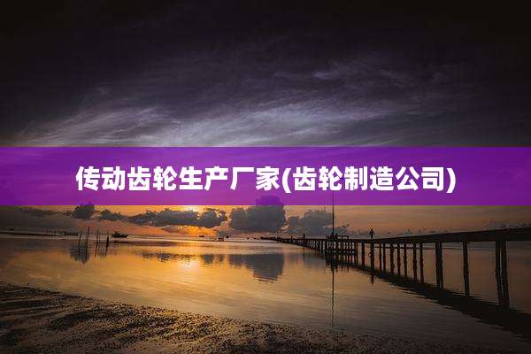 传动齿轮生产厂家(齿轮制造公司)