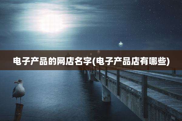 电子产品的网店名字(电子产品店有哪些)