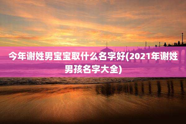 今年谢姓男宝宝取什么名字好(2021年谢姓男孩名字大全)