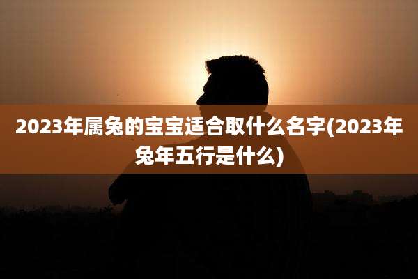 2023年属兔的宝宝适合取什么名字(2023年兔年五行是什么)