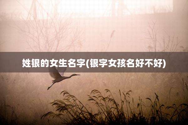 姓银的女生名字(银字女孩名好不好)