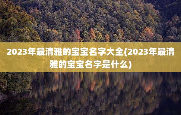 2023年最清雅的宝宝名字大全(2023年最清雅的宝宝名字是什么)
