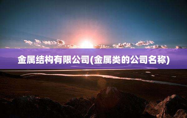 金属结构有限公司(金属类的公司名称)