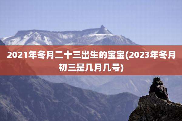 2021年冬月二十三出生的宝宝(2023年冬月初三是几月几号)