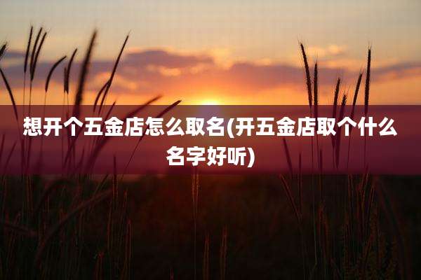 想开个五金店怎么取名(开五金店取个什么名字好听)