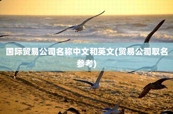 国际贸易公司名称中文和英文(贸易公司取名参考)