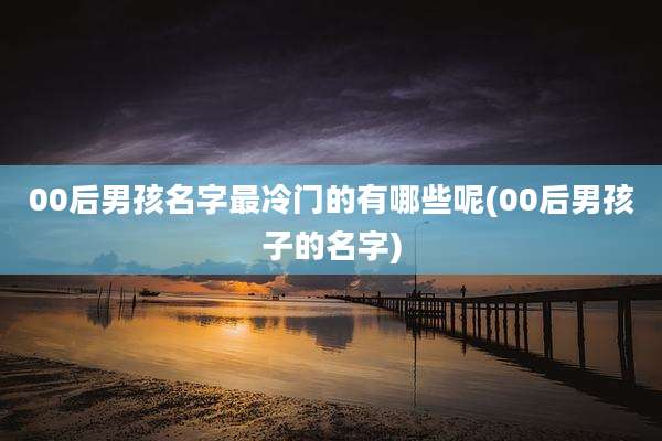 00后男孩名字最冷门的有哪些呢(00后男孩子的名字)