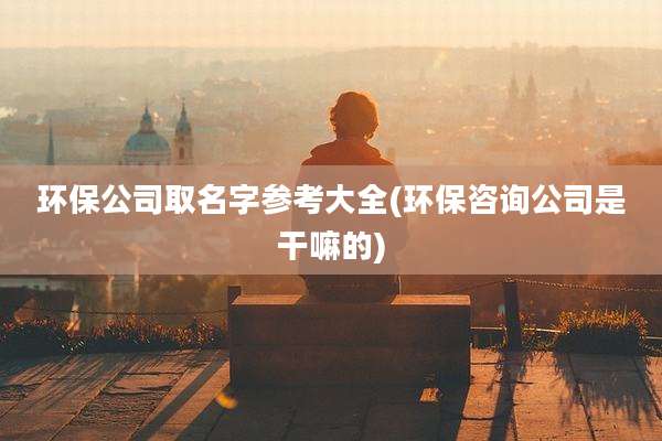 环保公司取名字参考大全(环保咨询公司是干嘛的)