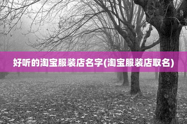 好听的淘宝服装店名字(淘宝服装店取名)