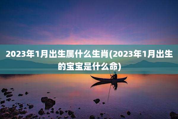 2023年1月出生属什么生肖(2023年1月出生的宝宝是什么命)