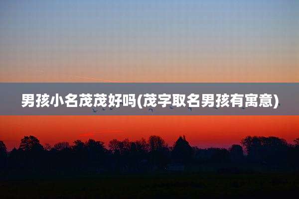 男孩小名茂茂好吗(茂字取名男孩有寓意)